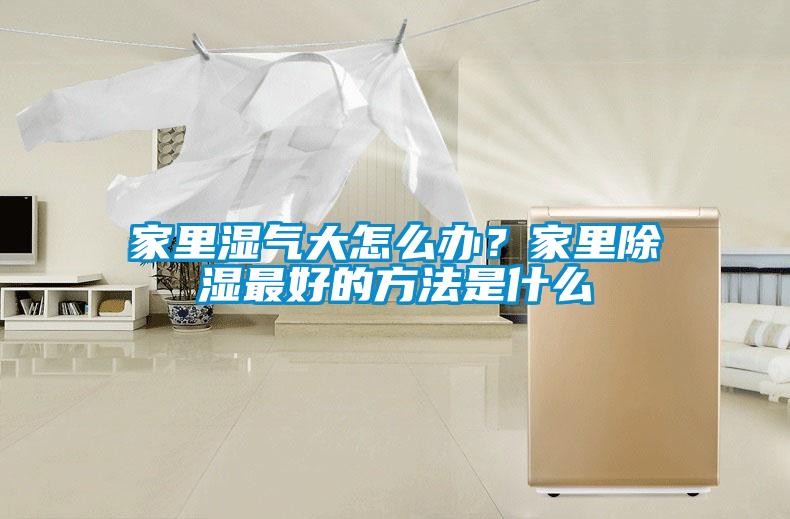 家里濕氣大怎么辦？家里除濕最好的方法是什么