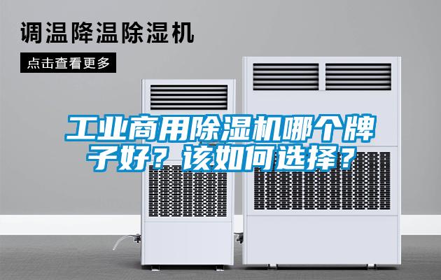 工業商用除濕機哪個牌子好？該如何選擇？