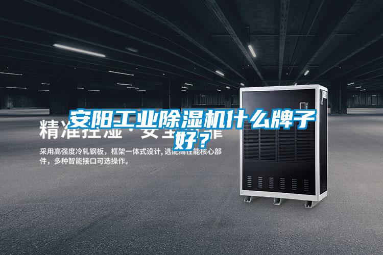安陽工業除濕機什么牌子好？