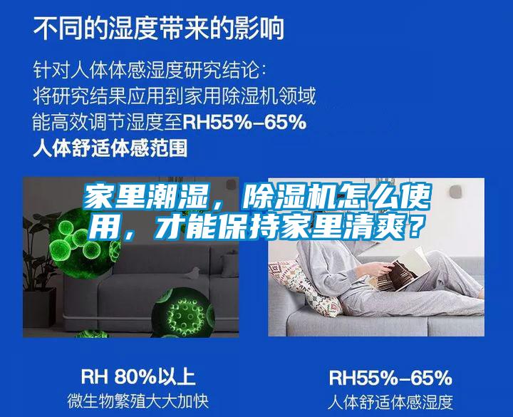 家里潮濕，除濕機怎么使用，才能保持家里清爽？