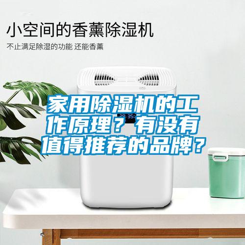 家用除濕機的工作原理？有沒有值得推薦的品牌？