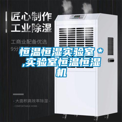 恒溫恒濕實驗室＊,實驗室恒溫恒濕機