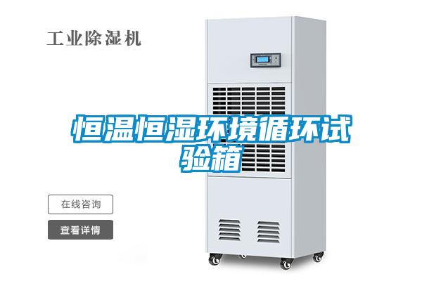 恒溫恒濕環境循環試驗箱