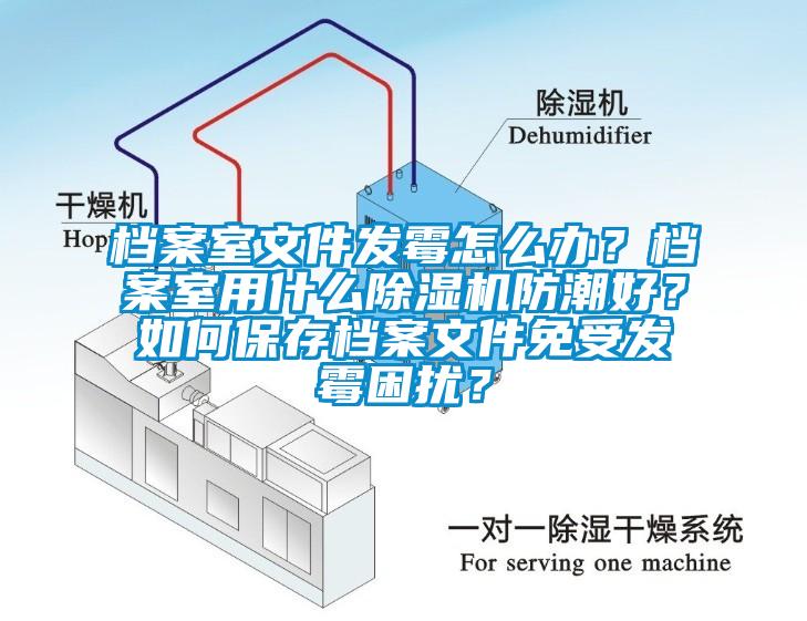 檔案室文件發霉怎么辦？檔案室用什么除濕機防潮好？如何保存檔案文件免受發霉困擾？