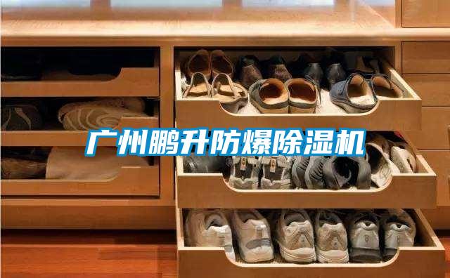 廣州鵬升防爆除濕機