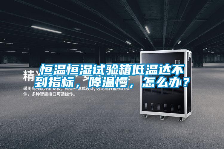 恒溫恒濕試驗箱低溫達不到指標，降溫慢，怎么辦？