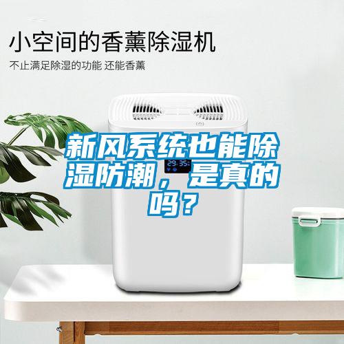 新風系統也能除濕防潮，是真的嗎？