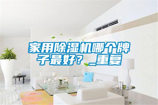 家用除濕機哪個牌子最好？_重復
