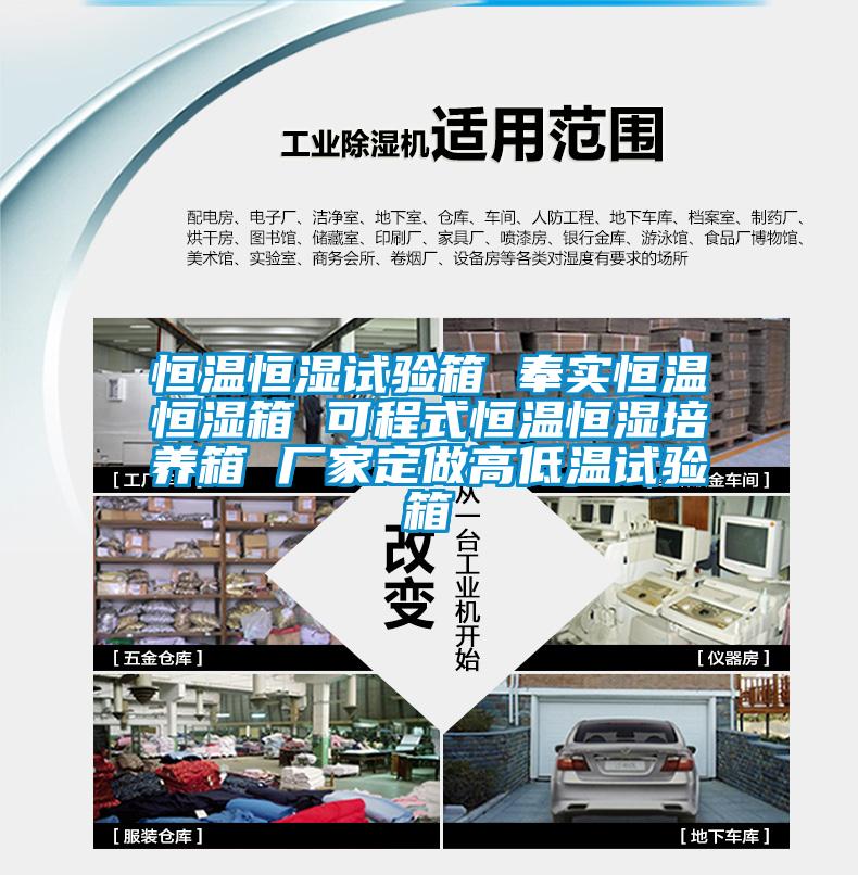 恒溫恒濕試驗箱 奉實恒溫恒濕箱 可程式恒溫恒濕培養箱 廠家定做高低溫試驗箱