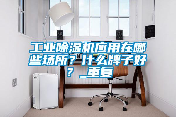工業除濕機應用在哪些場所？什么牌子好？_重復