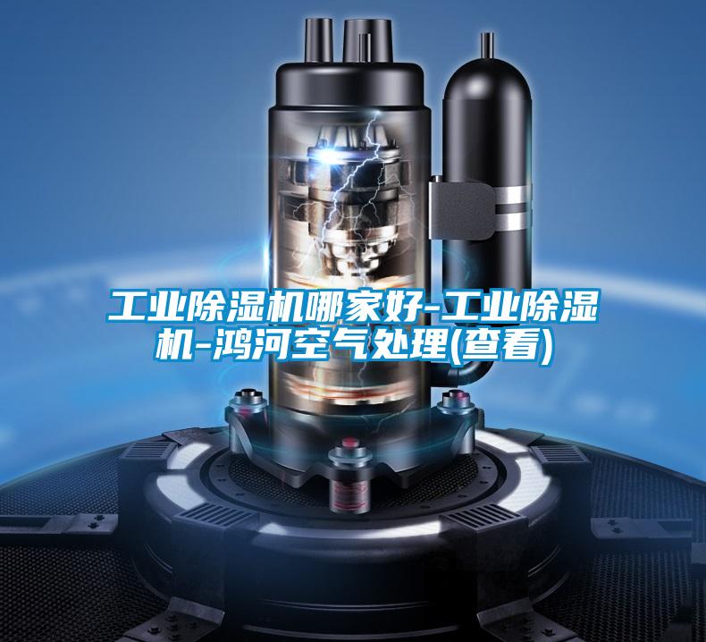 工業除濕機哪家好-工業除濕機-鴻河空氣處理(查看)