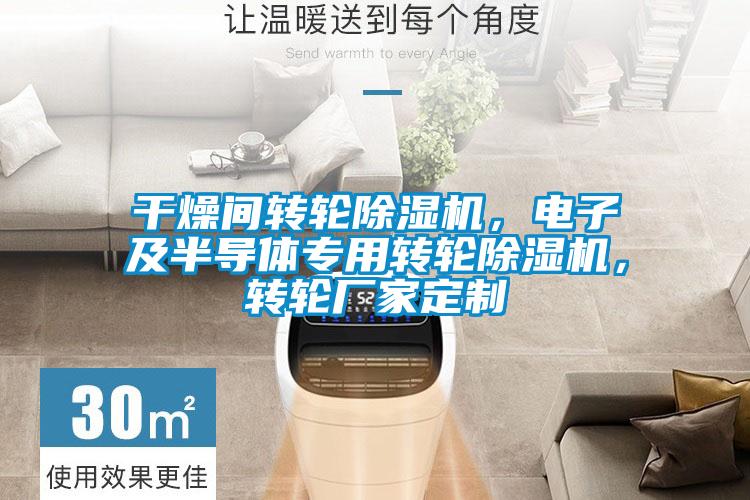 干燥間轉輪除濕機，電子及半導體專用轉輪除濕機，轉輪廠家定制
