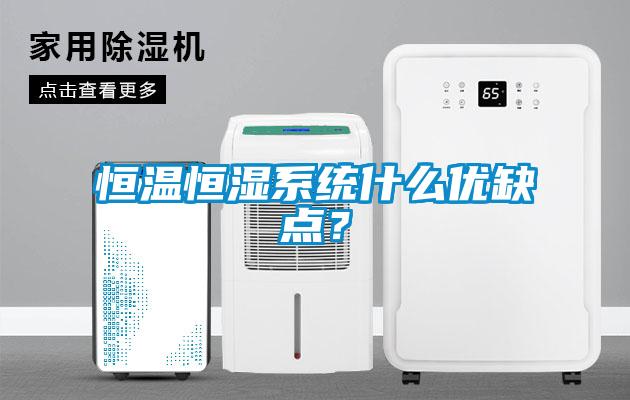 恒溫恒濕系統什么優缺點？