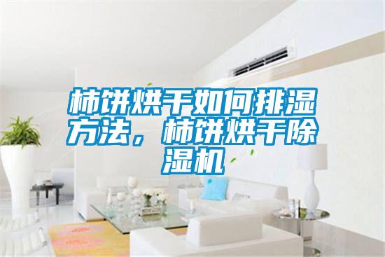 柿餅烘干如何排濕方法，柿餅烘干除濕機