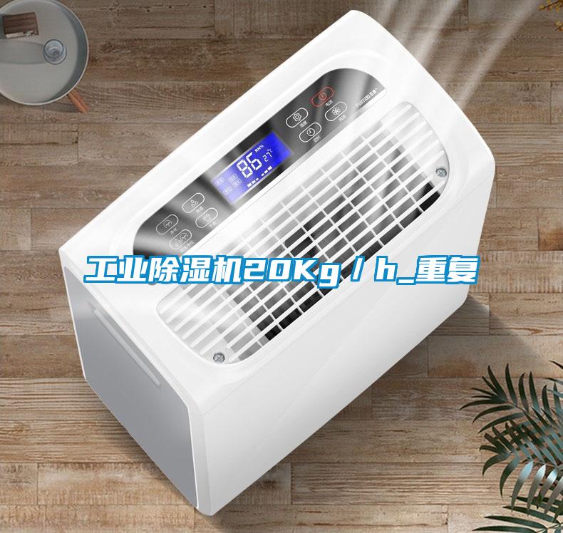 工業除濕機20Kg／h_重復