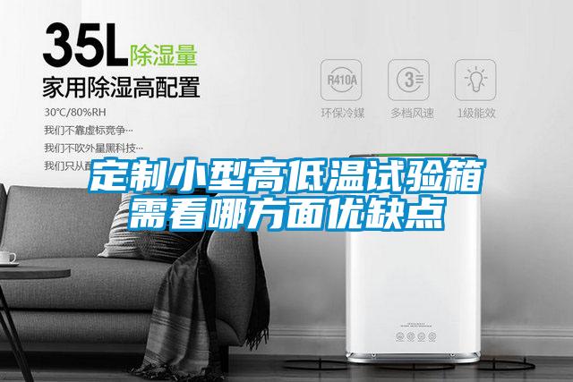 定制小型高低溫試驗箱需看哪方面優缺點