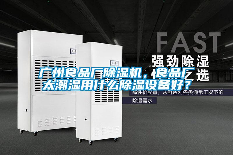 廣州食品廠除濕機，食品廠太潮濕用什么除濕設備好？