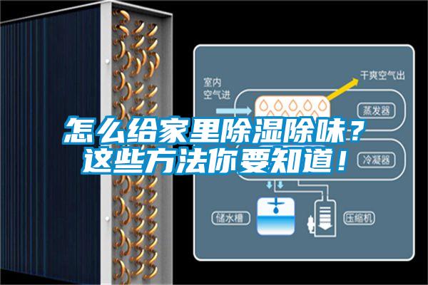 怎么給家里除濕除味？這些方法你要知道！