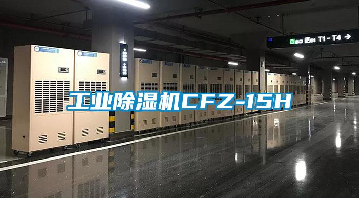 工業除濕機CFZ-15H