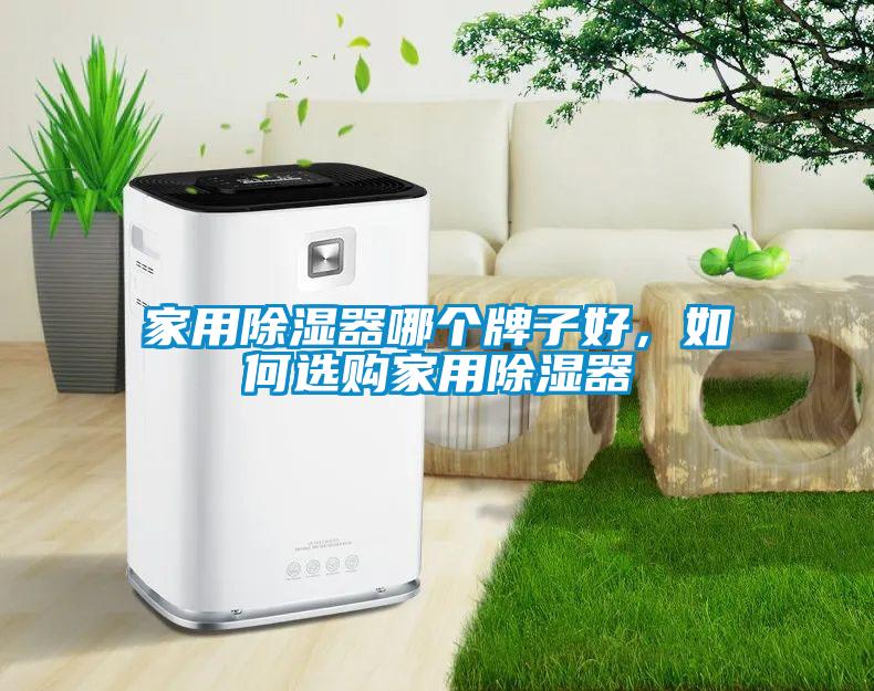 家用除濕器哪個牌子好，如何選購家用除濕器