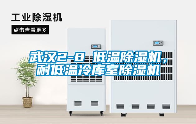 武漢2-8℃低溫除濕機，耐低溫冷庫室除濕機