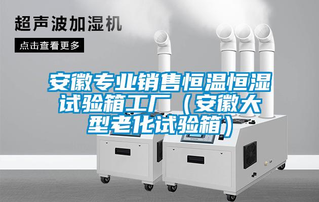 安徽專業銷售恒溫恒濕試驗箱工廠（安徽大型老化試驗箱）