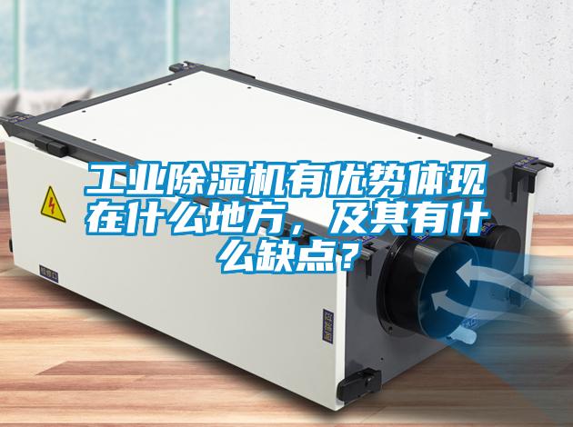 工業除濕機有優勢體現在什么地方，及其有什么缺點？