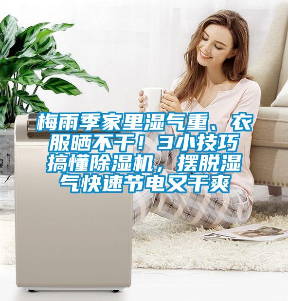 梅雨季家里濕氣重、衣服曬不干！3小技巧搞懂除濕機，擺脫濕氣快速節電又干爽