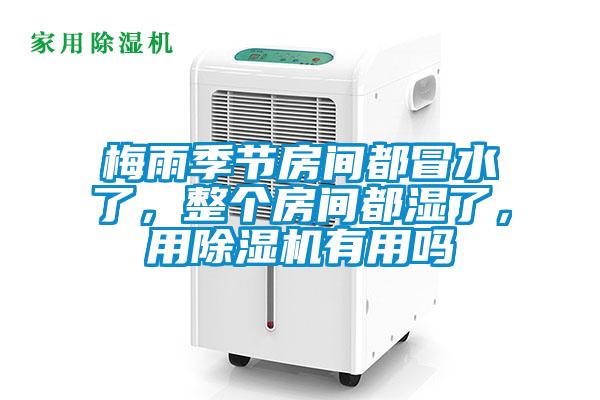 梅雨季節房間都冒水了，整個房間都濕了，用除濕機有用嗎