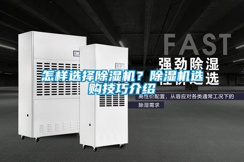 怎樣選擇除濕機？除濕機選購技巧介紹