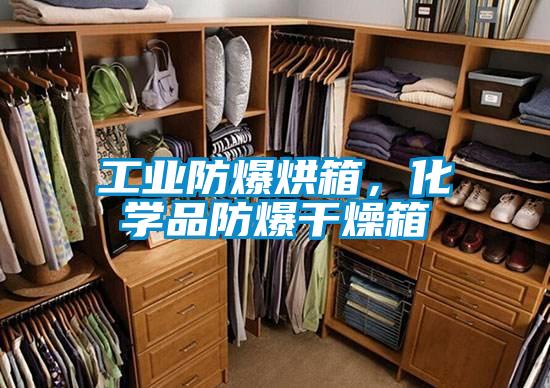 工業防爆烘箱，化學品防爆干燥箱