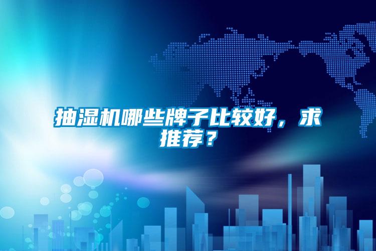 抽濕機哪些牌子比較好，求推薦？