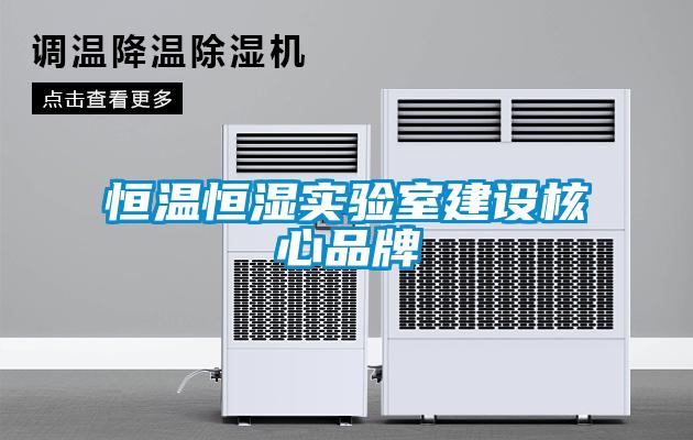 恒溫恒濕實驗室建設核心品牌