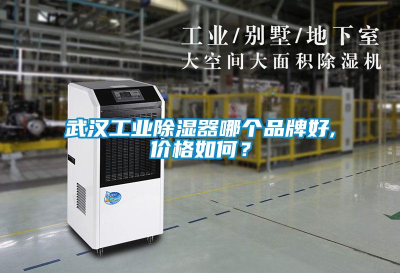 武漢工業除濕器哪個品牌好,價格如何？