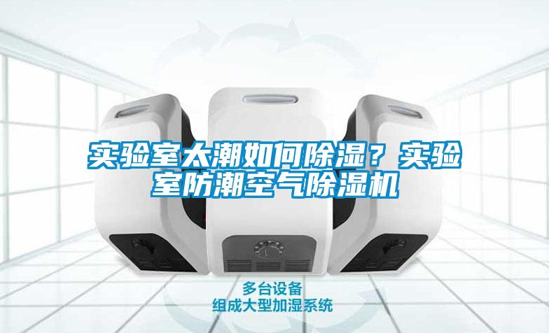 實驗室太潮如何除濕？實驗室防潮空氣除濕機