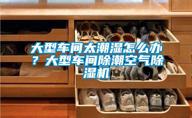 大型車間太潮濕怎么辦？大型車間除潮空氣除濕機