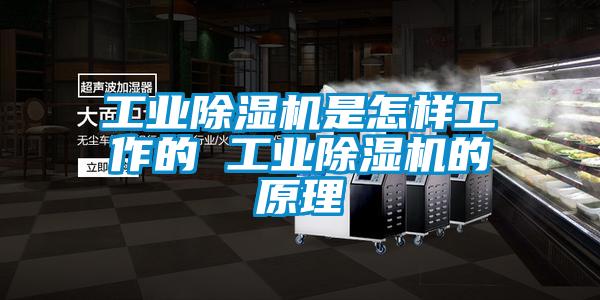工業除濕機是怎樣工作的 工業除濕機的原理