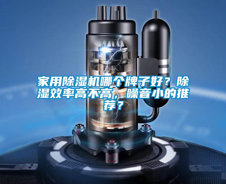 家用除濕機哪個牌子好？除濕效率高不高，噪音小的推薦？
