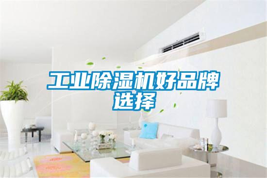 工業除濕機好品牌選擇