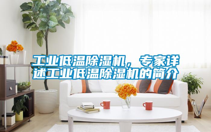 工業低溫除濕機，專家詳述工業低溫除濕機的簡介