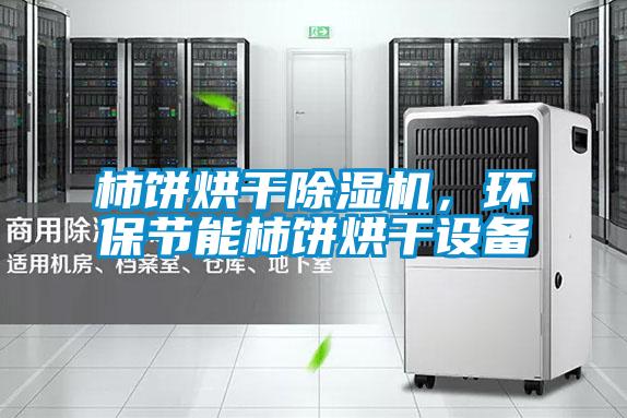柿餅烘干除濕機，環保節能柿餅烘干設備