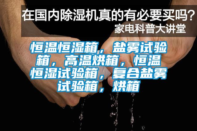恒溫恒濕箱，鹽霧試驗箱，高溫烘箱，恒溫恒濕試驗箱，復合鹽霧試驗箱，烘箱