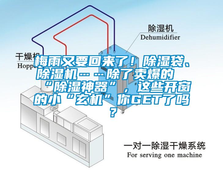 梅雨又要回來了！除濕袋、除濕機……除了賣爆的“除濕神器”，這些開窗的小“玄機”你GET了嗎？