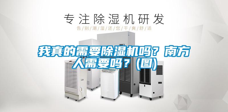 我真的需要除濕機嗎？南方人需要嗎？(圖)