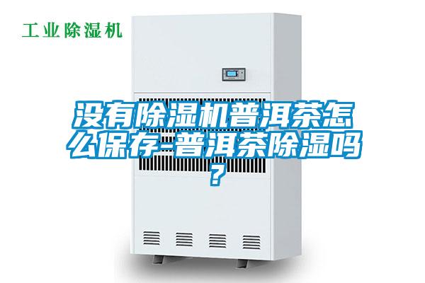 沒有除濕機普洱茶怎么保存-普洱茶除濕嗎？