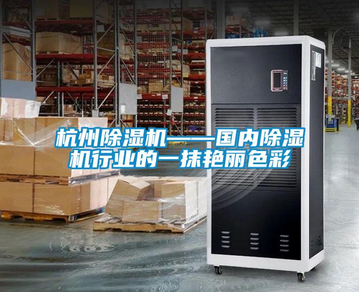 杭州除濕機——國內除濕機行業的一抹艷麗色彩