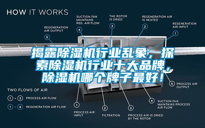 揭露除濕機行業亂象，探索除濕機行業十大品牌，除濕機哪個牌子最好！
