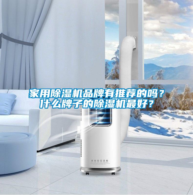家用除濕機品牌有推薦的嗎？什么牌子的除濕機最好？