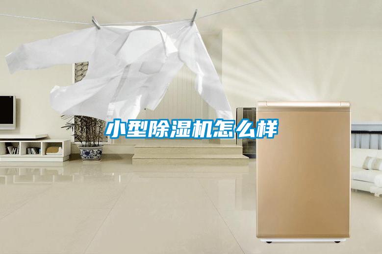 小型除濕機怎么樣