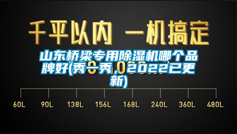 山東橋梁專用除濕機哪個品牌好(秀一秀，2022已更新)